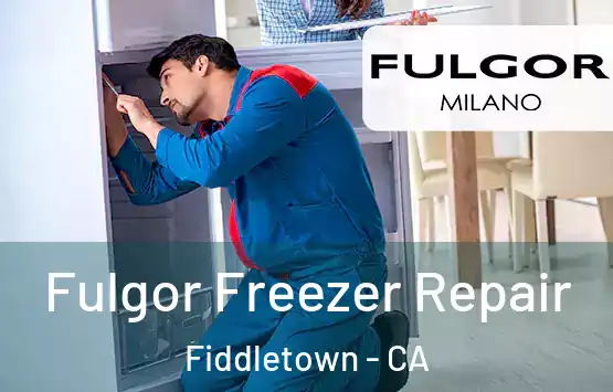  Fulgor Freezer Repair Fiddletown - CA