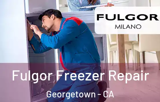  Fulgor Freezer Repair Georgetown - CA