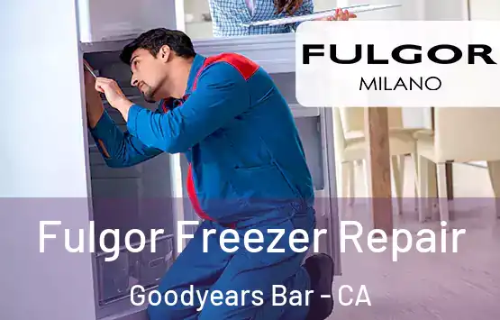 Fulgor Freezer Repair Goodyears Bar - CA