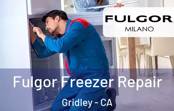  Fulgor Freezer Repair Gridley - CA