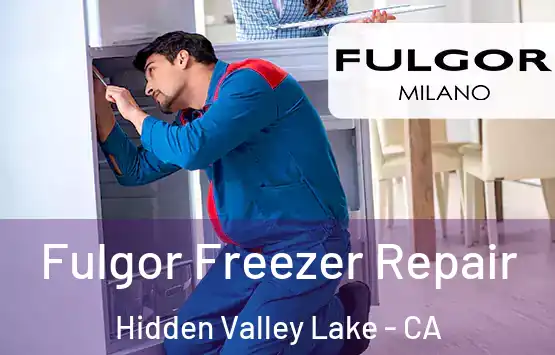  Fulgor Freezer Repair Hidden Valley Lake - CA