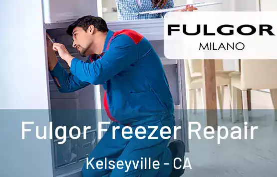  Fulgor Freezer Repair Kelseyville - CA
