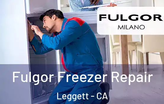  Fulgor Freezer Repair Leggett - CA