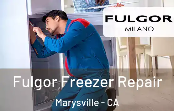 Fulgor Freezer Repair Marysville - CA