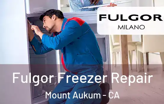  Fulgor Freezer Repair Mount Aukum - CA