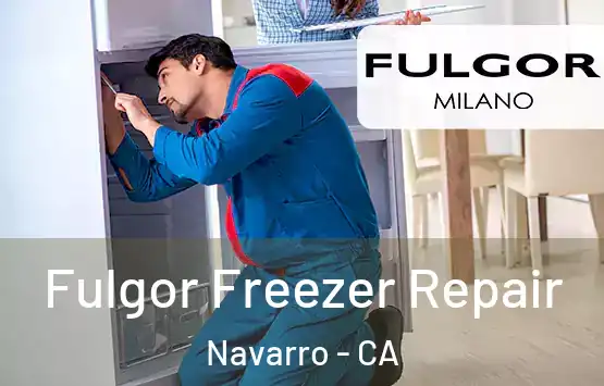  Fulgor Freezer Repair Navarro - CA