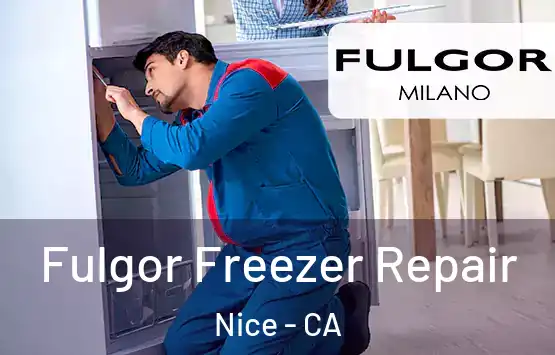  Fulgor Freezer Repair Nice - CA