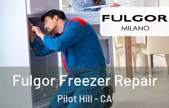  Fulgor Freezer Repair Pilot Hill - CA