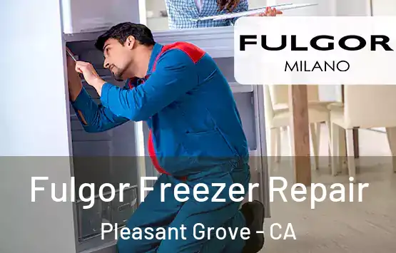 Fulgor Freezer Repair Pleasant Grove - CA