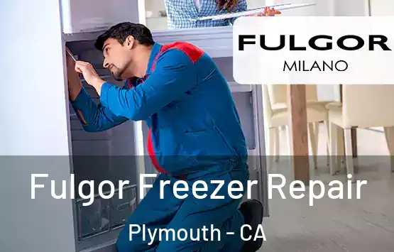  Fulgor Freezer Repair Plymouth - CA