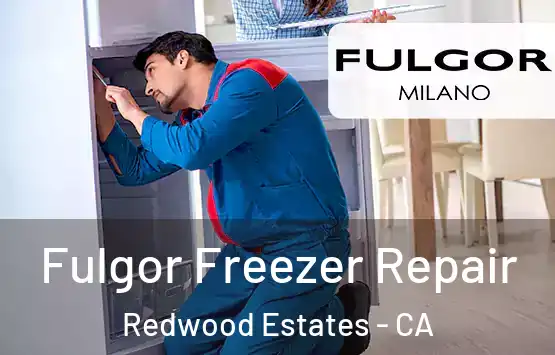  Fulgor Freezer Repair Redwood Estates - CA