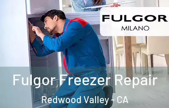  Fulgor Freezer Repair Redwood Valley - CA