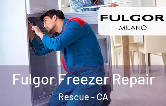  Fulgor Freezer Repair Rescue - CA
