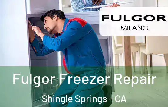  Fulgor Freezer Repair Shingle Springs - CA