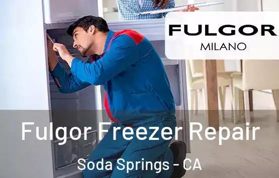  Fulgor Freezer Repair Soda Springs - CA