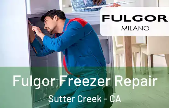  Fulgor Freezer Repair Sutter Creek - CA