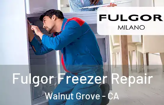  Fulgor Freezer Repair Walnut Grove - CA