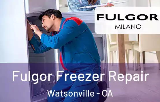  Fulgor Freezer Repair Watsonville - CA