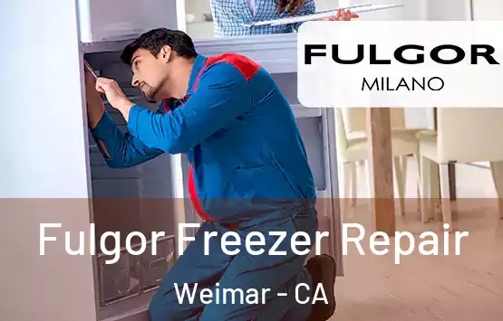  Fulgor Freezer Repair Weimar - CA