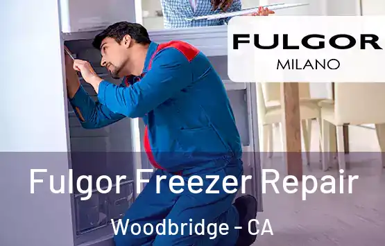  Fulgor Freezer Repair Woodbridge - CA