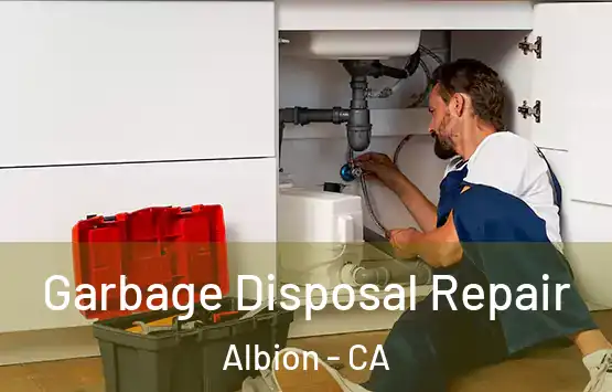  Garbage Disposal Repair Albion - CA