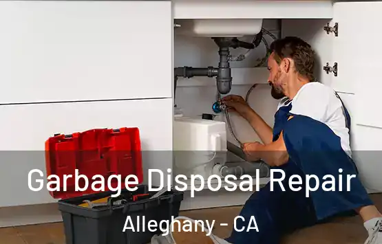  Garbage Disposal Repair Alleghany - CA