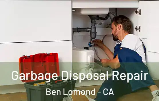  Garbage Disposal Repair Ben Lomond - CA