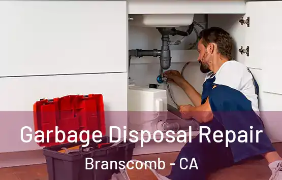  Garbage Disposal Repair Branscomb - CA