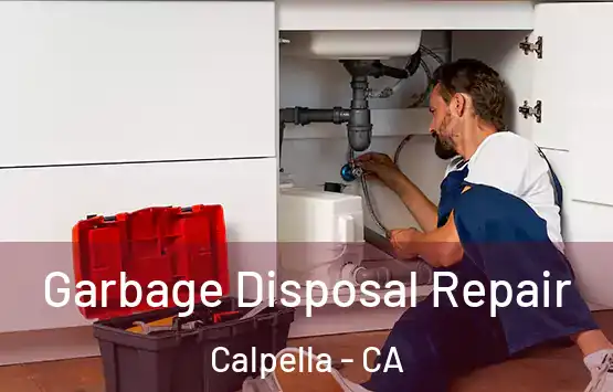  Garbage Disposal Repair Calpella - CA