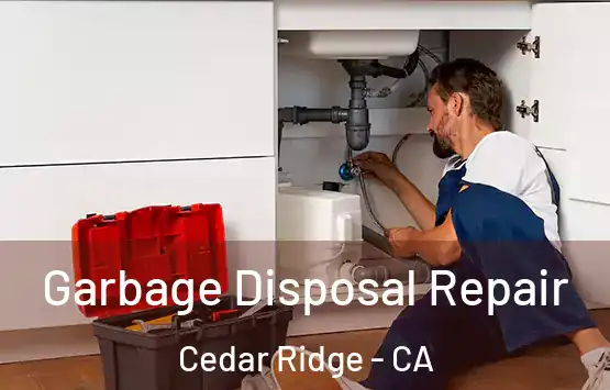  Garbage Disposal Repair Cedar Ridge - CA