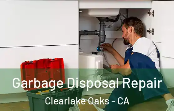  Garbage Disposal Repair Clearlake Oaks - CA