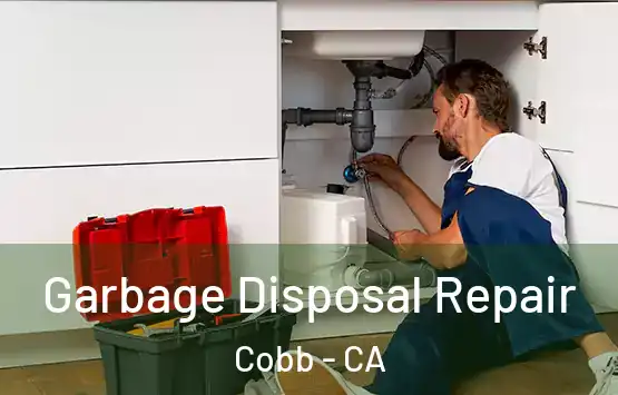  Garbage Disposal Repair Cobb - CA