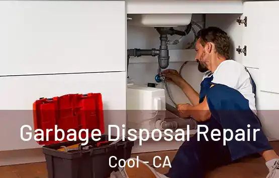  Garbage Disposal Repair Cool - CA