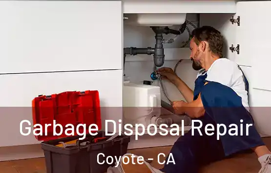  Garbage Disposal Repair Coyote - CA