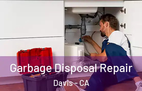  Garbage Disposal Repair Davis - CA