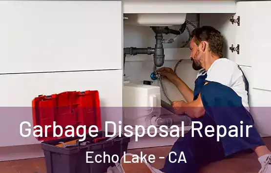  Garbage Disposal Repair Echo Lake - CA