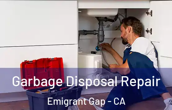  Garbage Disposal Repair Emigrant Gap - CA