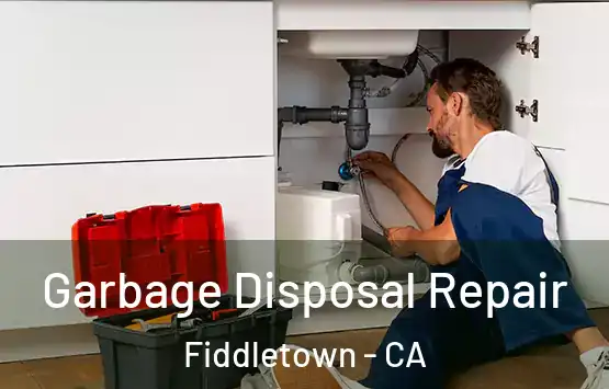  Garbage Disposal Repair Fiddletown - CA