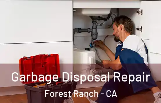  Garbage Disposal Repair Forest Ranch - CA
