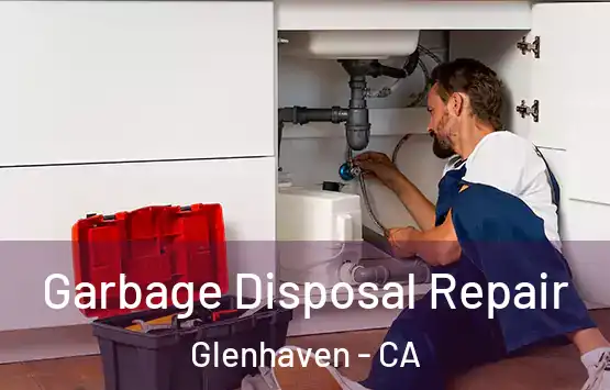  Garbage Disposal Repair Glenhaven - CA