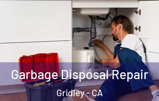  Garbage Disposal Repair Gridley - CA