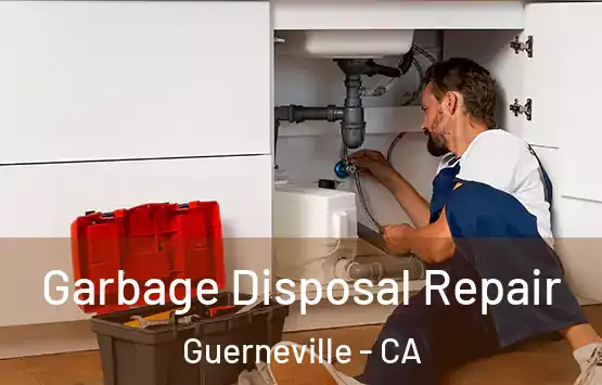  Garbage Disposal Repair Guerneville - CA