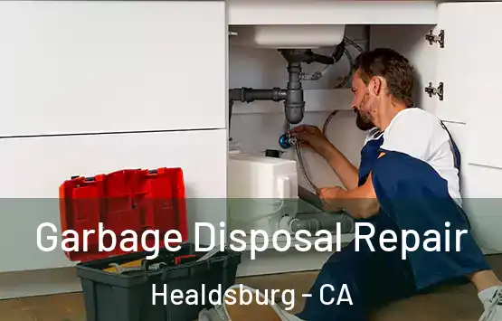  Garbage Disposal Repair Healdsburg - CA