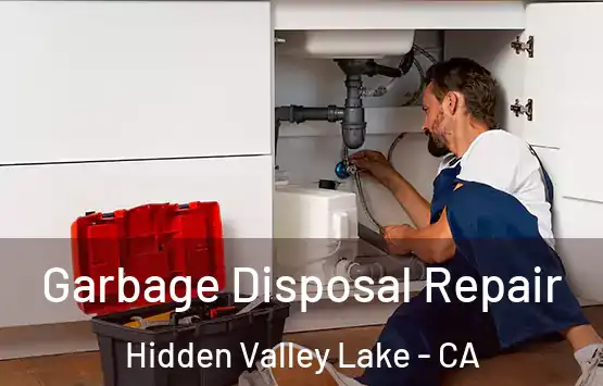  Garbage Disposal Repair Hidden Valley Lake - CA