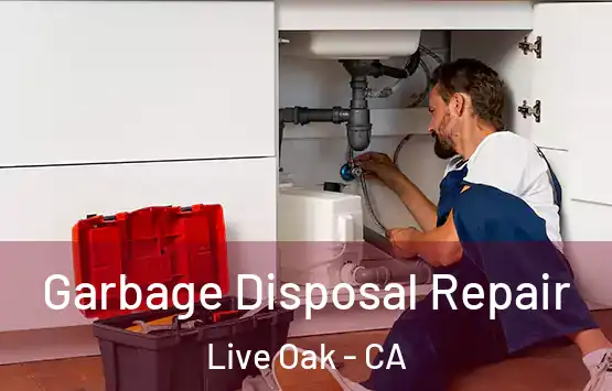  Garbage Disposal Repair Live Oak - CA