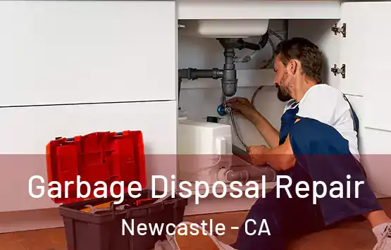  Garbage Disposal Repair Newcastle - CA