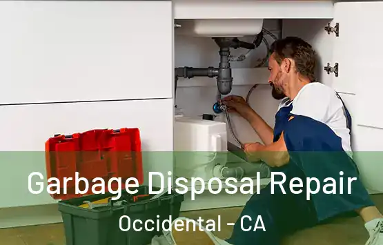  Garbage Disposal Repair Occidental - CA