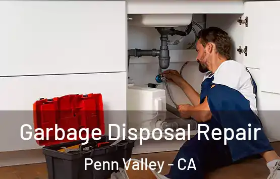  Garbage Disposal Repair Penn Valley - CA