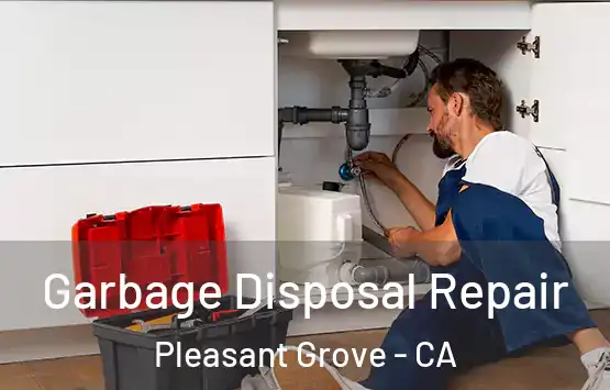  Garbage Disposal Repair Pleasant Grove - CA
