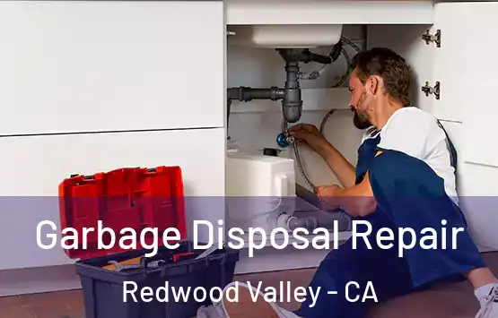  Garbage Disposal Repair Redwood Valley - CA